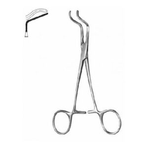 Subramanian-Miniature