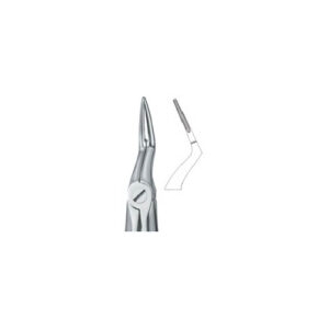 Tooth Extracting Forceps (ENG)
